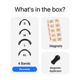 Banda Nazală Magnetică