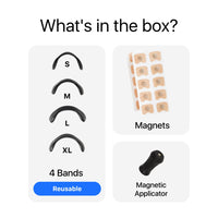 Banda Nazală Magnetică